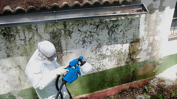 Top rated local Attic Mold Remediation specialists in La Plata, MD